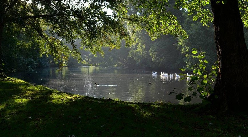Arboretum du parc de Rouelles, Montivilliers, France, France